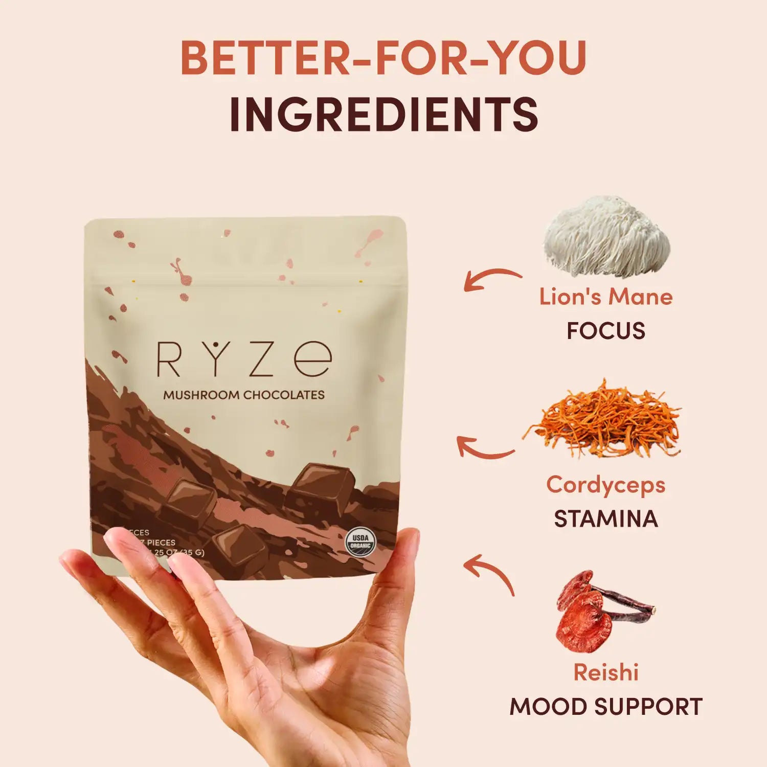 Mushroom Chocolates (15 pieces)