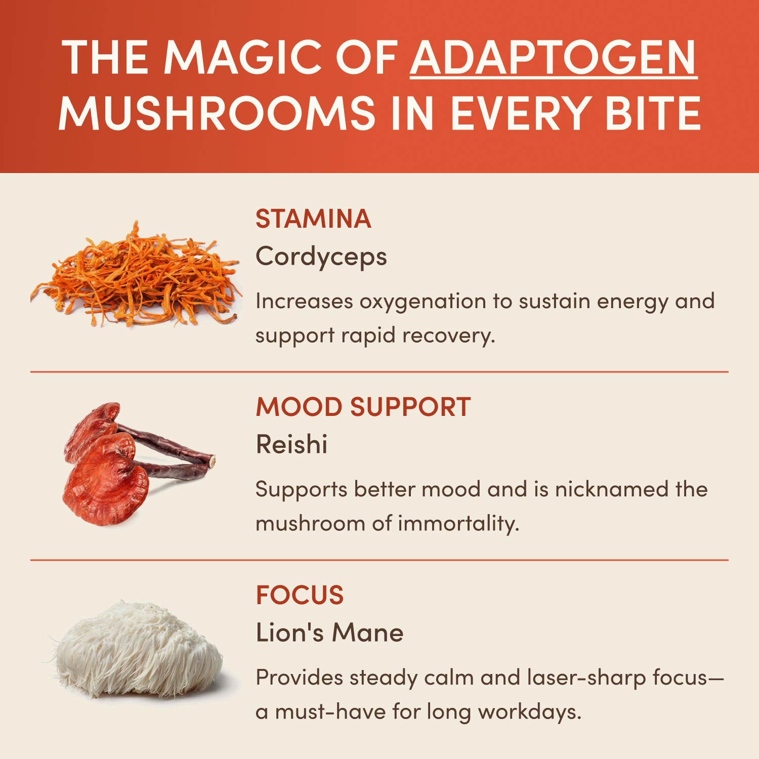Forme d'énergie revitalisé (café + chocolats)