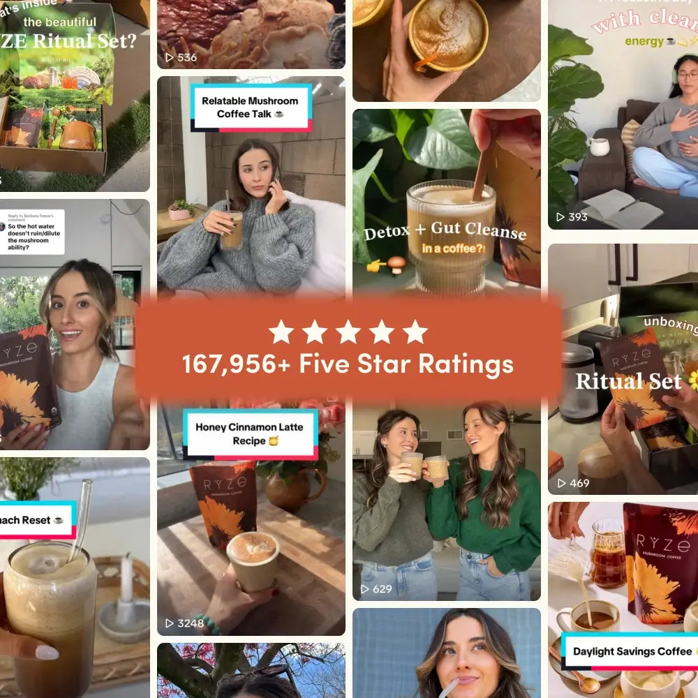 The Magic of Adaptogen Mushrooms in Every Bite — Cordyceps/Stamina, Reishi/Mood Support, Lion's Mane/Focus with mushroom...