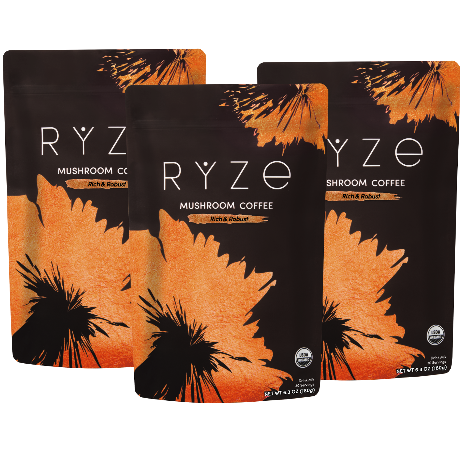 Dark Roast Mushroom Coffee (3 Month Upgrade) – RYZE