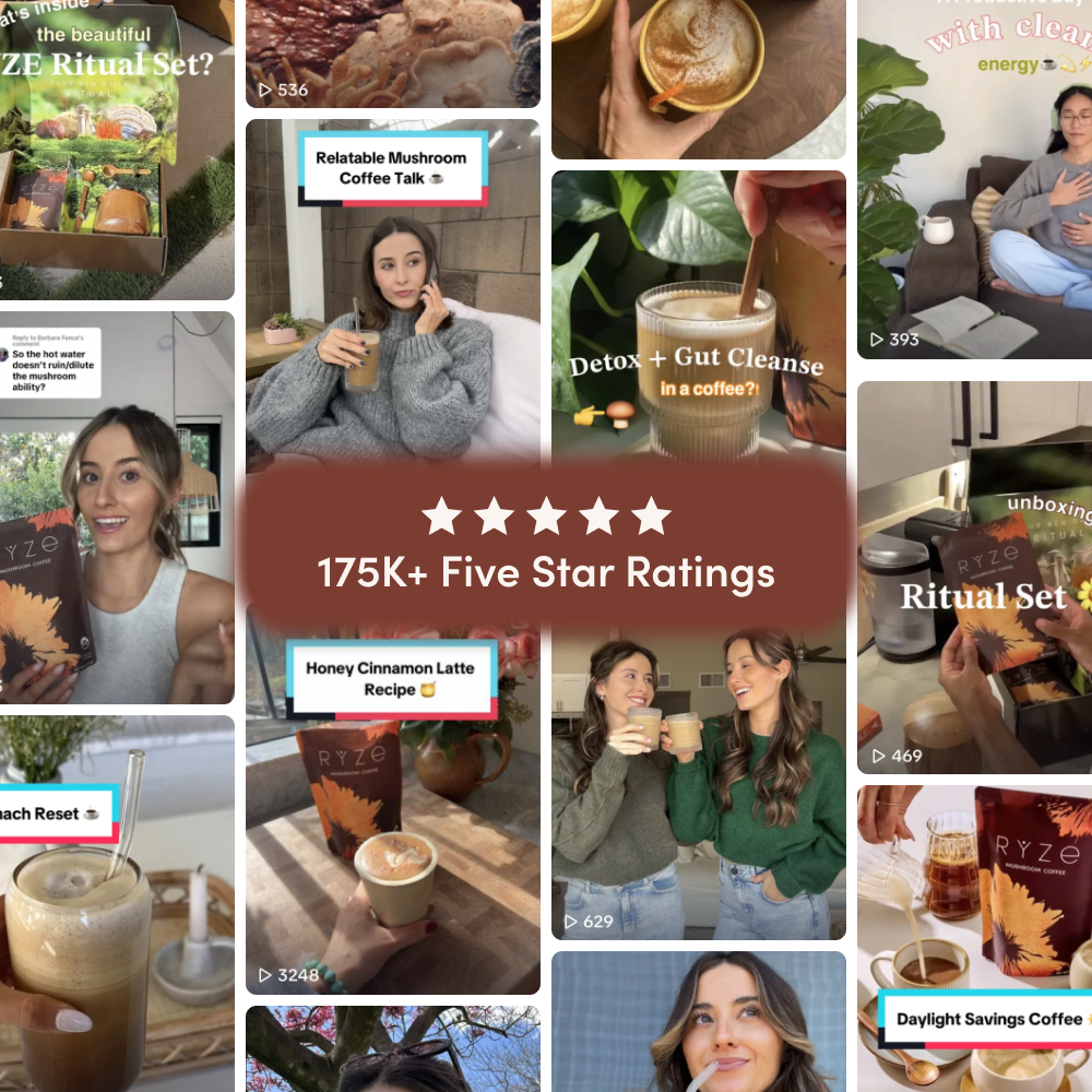 <tc>Café aux champignons (30 portions)</tc>