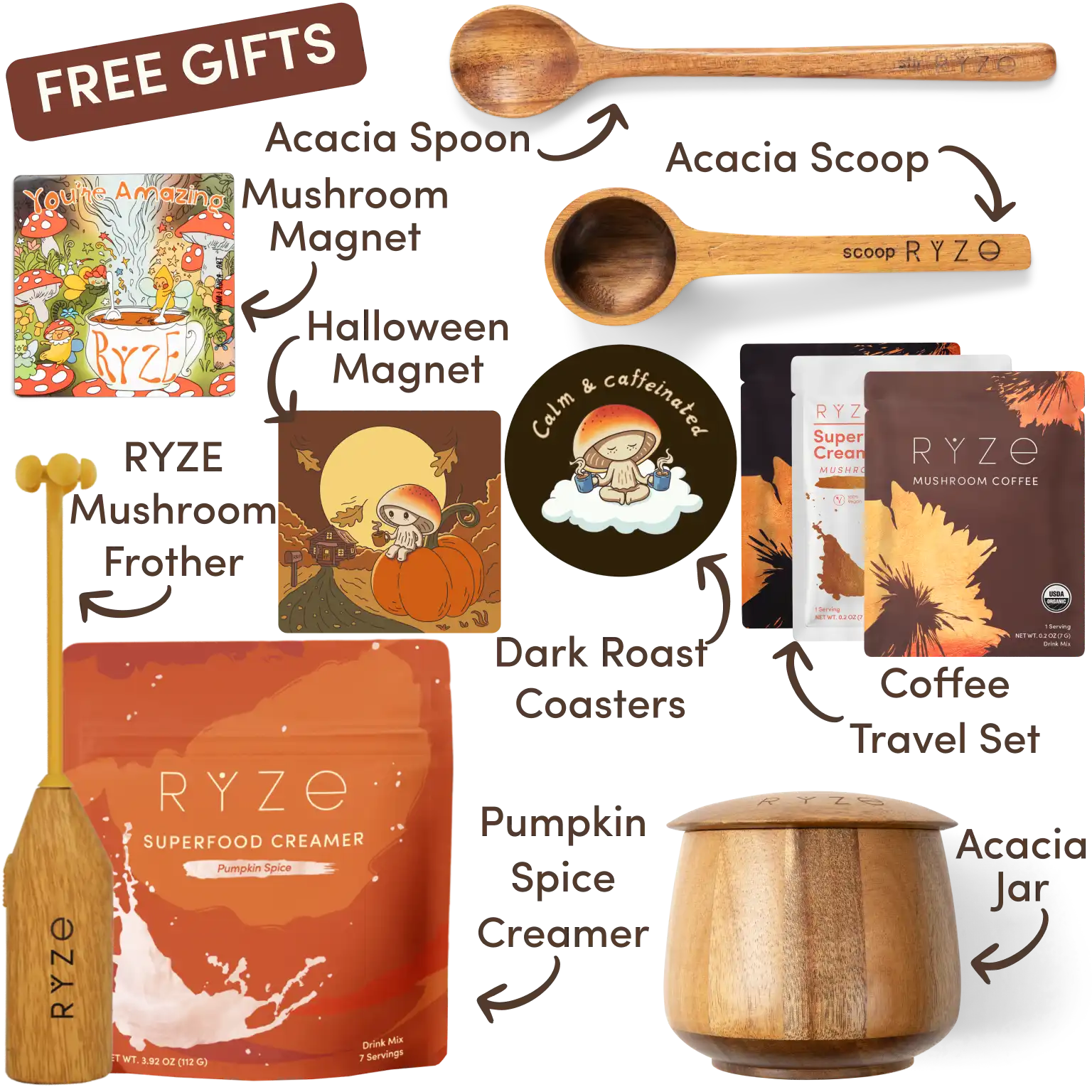 Ryze superfood creamer, acacia spoon, scoop, jar, mushroom magnet, and recipe booklet with 'Free Gifts' label.