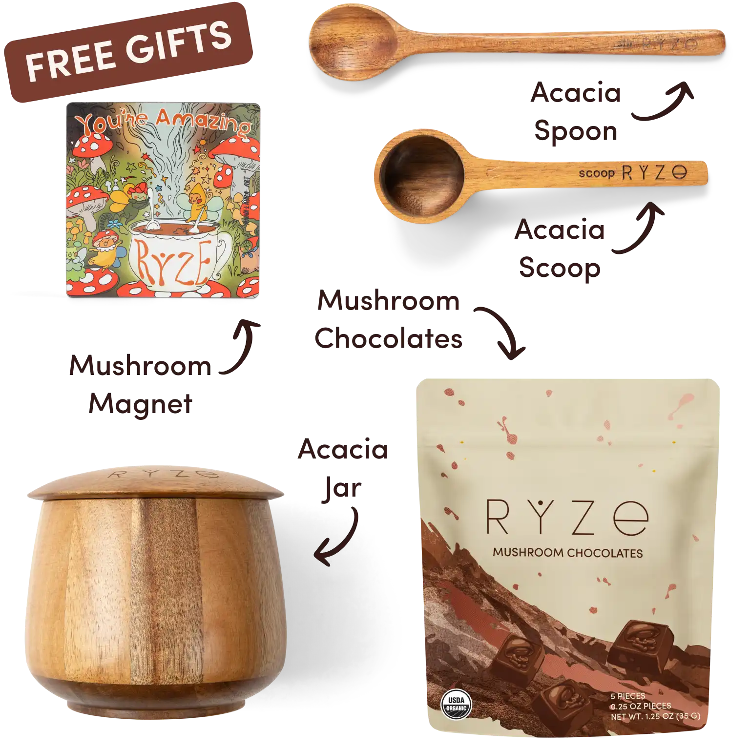 Ryze superfood creamer, acacia spoon, scoop, jar, mushroom magnet, and recipe booklet with 'Free Gifts' label.