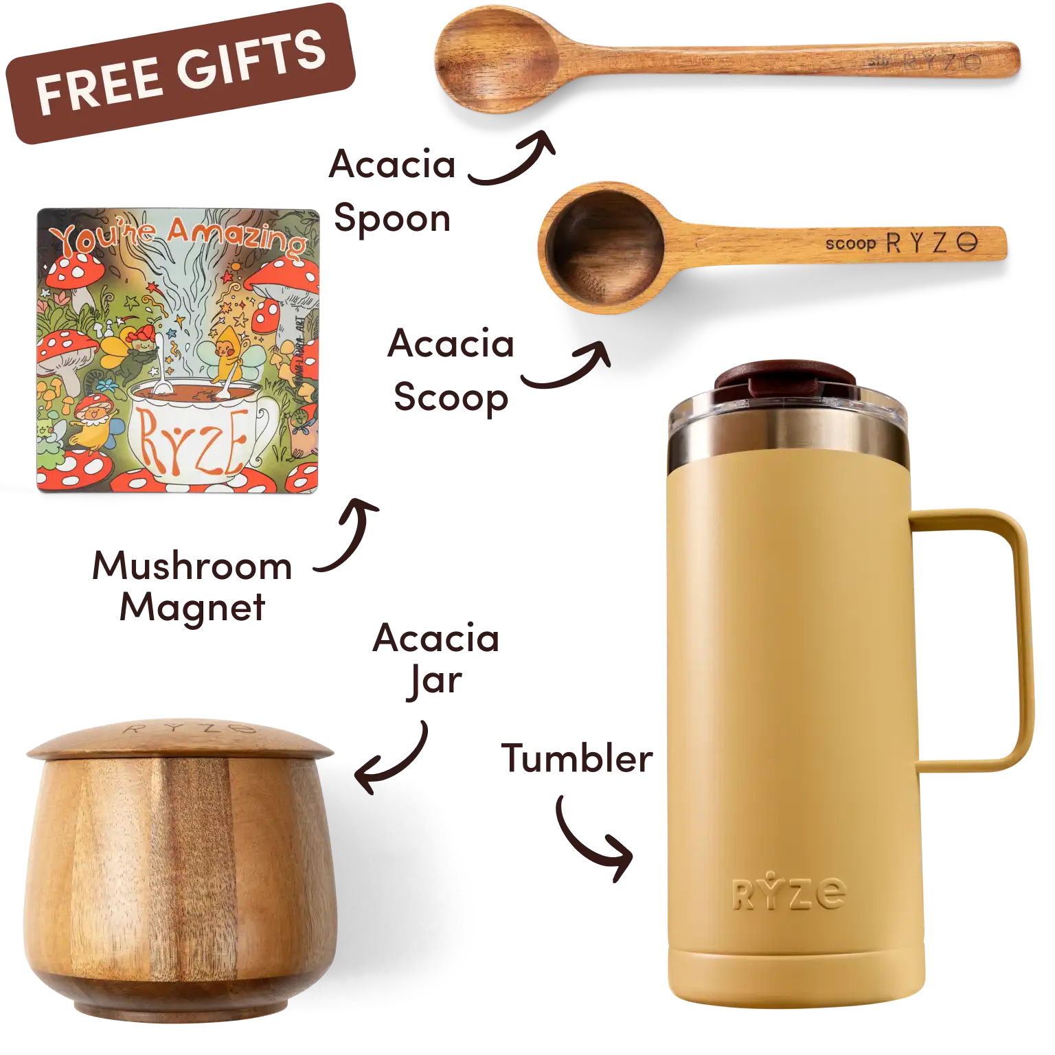 Ryze superfood creamer, acacia spoon, scoop, jar, mushroom magnet, and recipe booklet with 'Free Gifts' label.