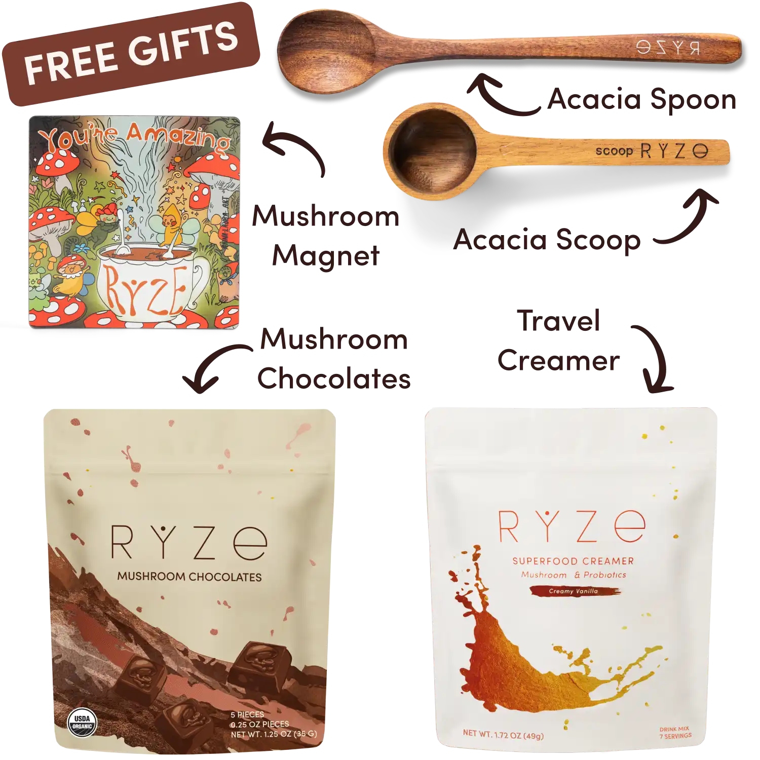 Ryze superfood creamer, acacia spoon, scoop, jar, mushroom magnet, and recipe booklet with 'Free Gifts' label.