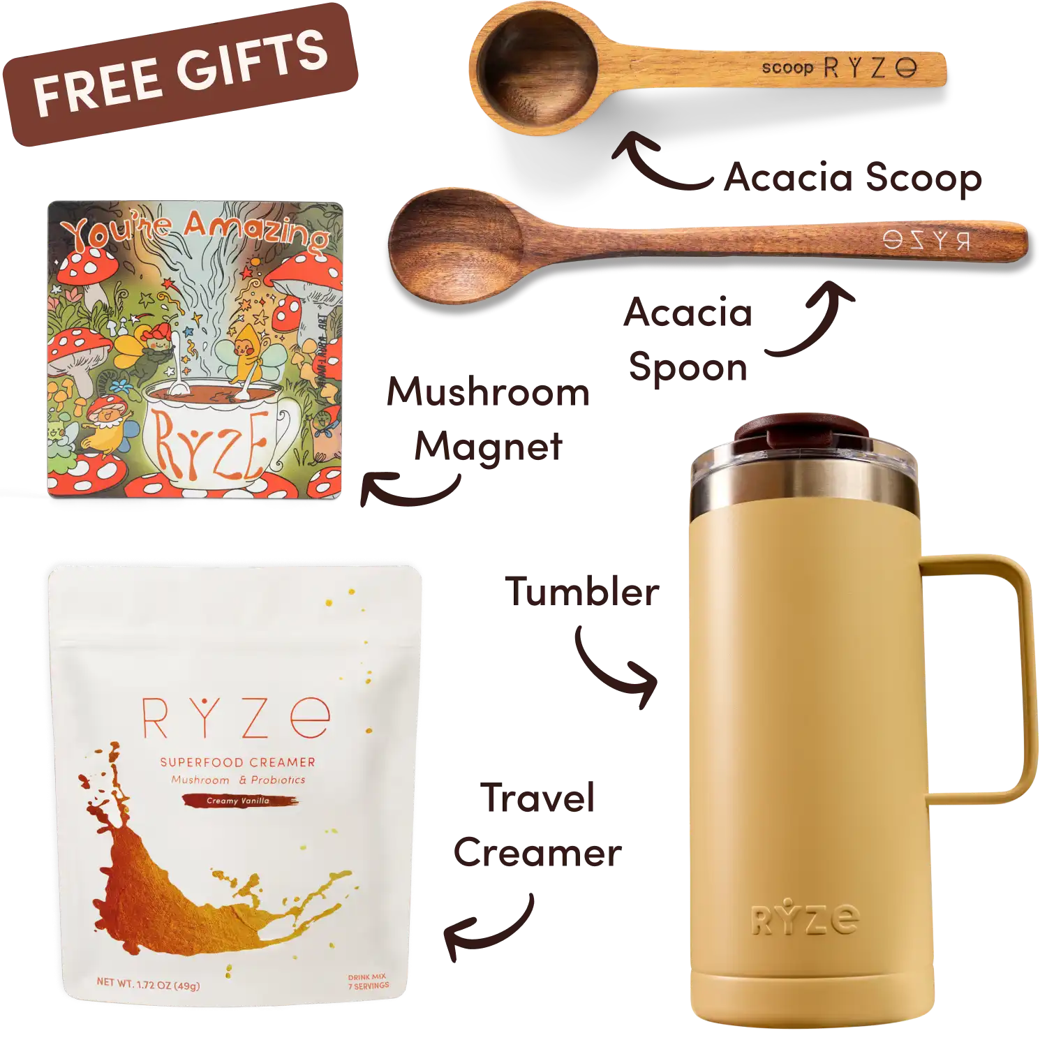 Ryze superfood creamer, acacia spoon, scoop, jar, mushroom magnet, and recipe booklet with 'Free Gifts' label.