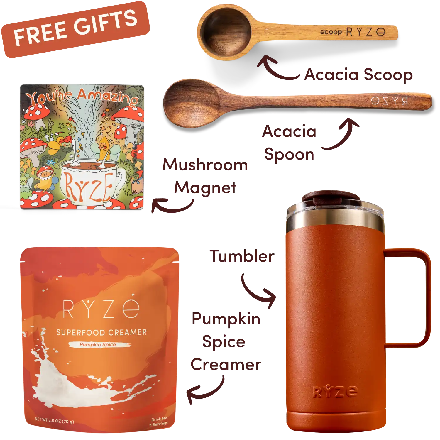 Ryze superfood creamer, acacia spoon, scoop, jar, mushroom magnet, and recipe booklet with 'Free Gifts' label.