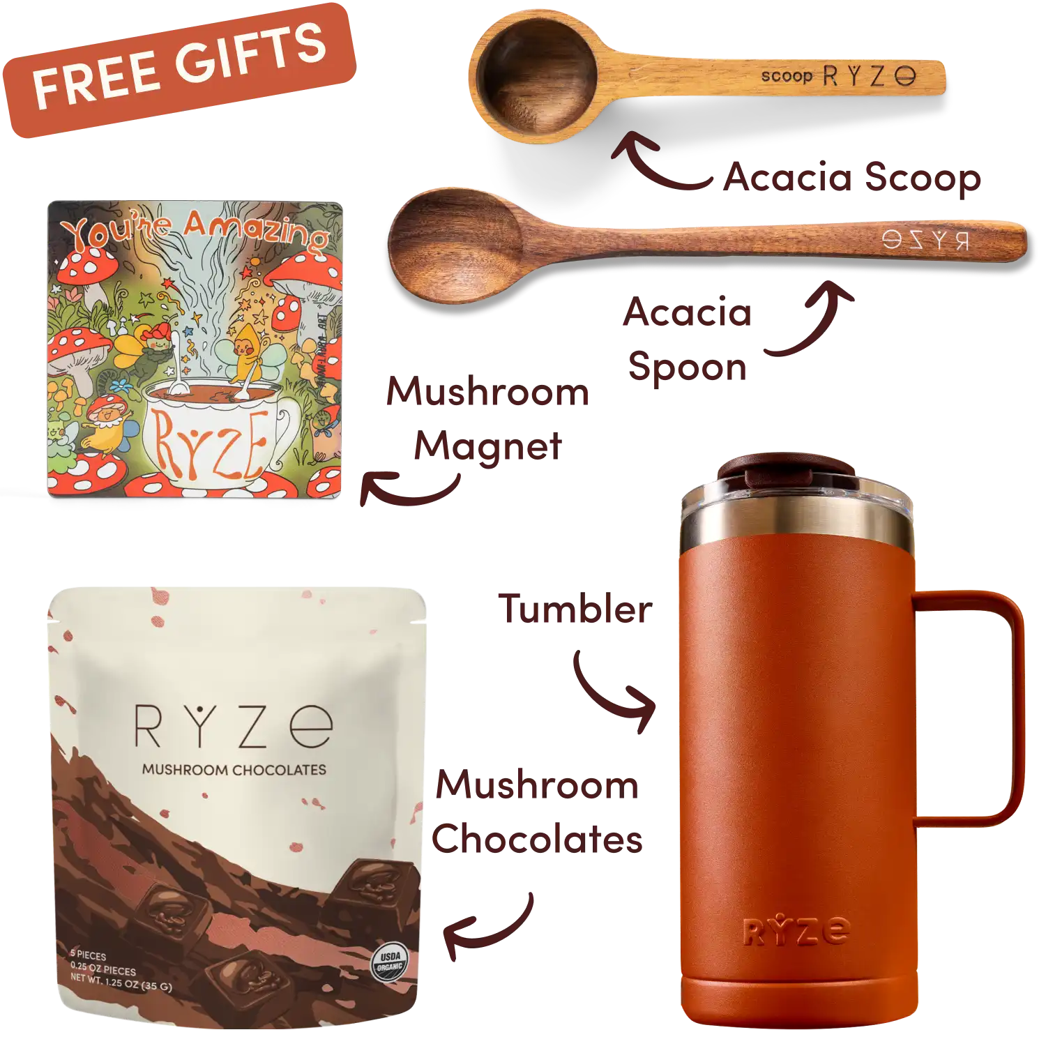 Ryze superfood creamer, acacia spoon, scoop, jar, mushroom magnet, and recipe booklet with 'Free Gifts' label.