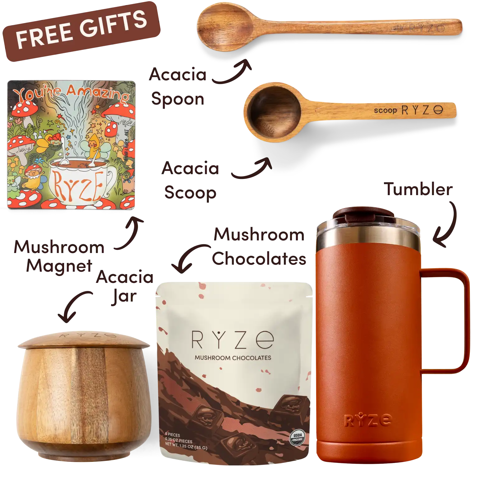 Ryze superfood creamer, acacia spoon, scoop, jar, mushroom magnet, and recipe booklet with 'Free Gifts' label.