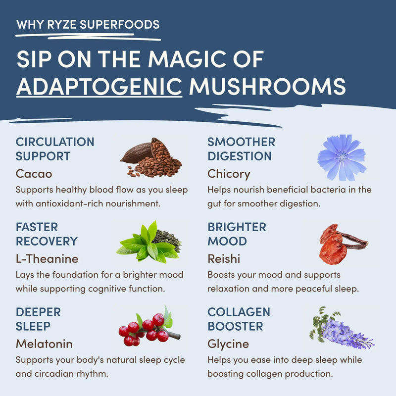 <tc>Ensemble ultime jour + nuit (café + matcha + cacao)</tc>
