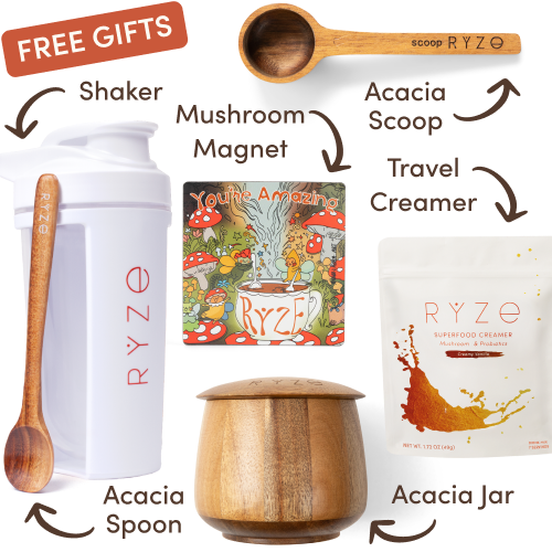Ryze superfood creamer, acacia spoon, scoop, jar, mushroom magnet, and recipe booklet with 'Free Gifts' label.