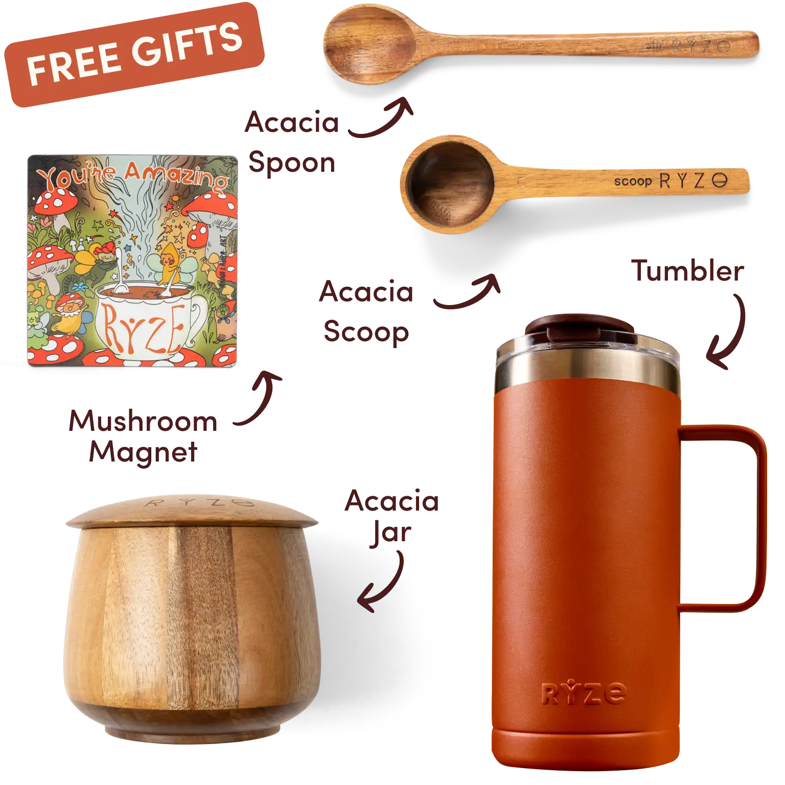 Ryze superfood creamer, acacia spoon, scoop, jar, mushroom magnet, and recipe booklet with 'Free Gifts' label.