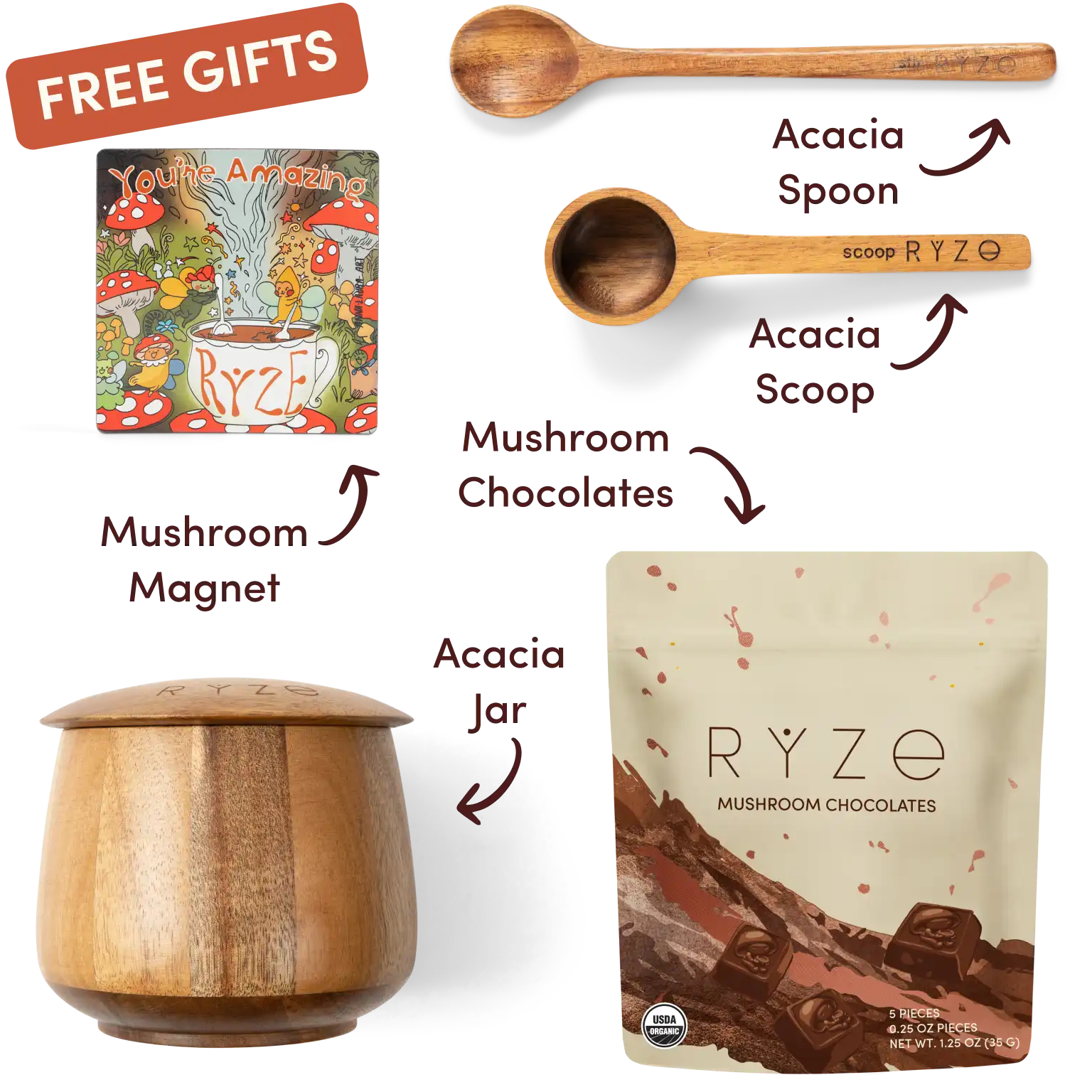 Ryze superfood creamer, acacia spoon, scoop, jar, mushroom magnet, and recipe booklet with 'Free Gifts' label.