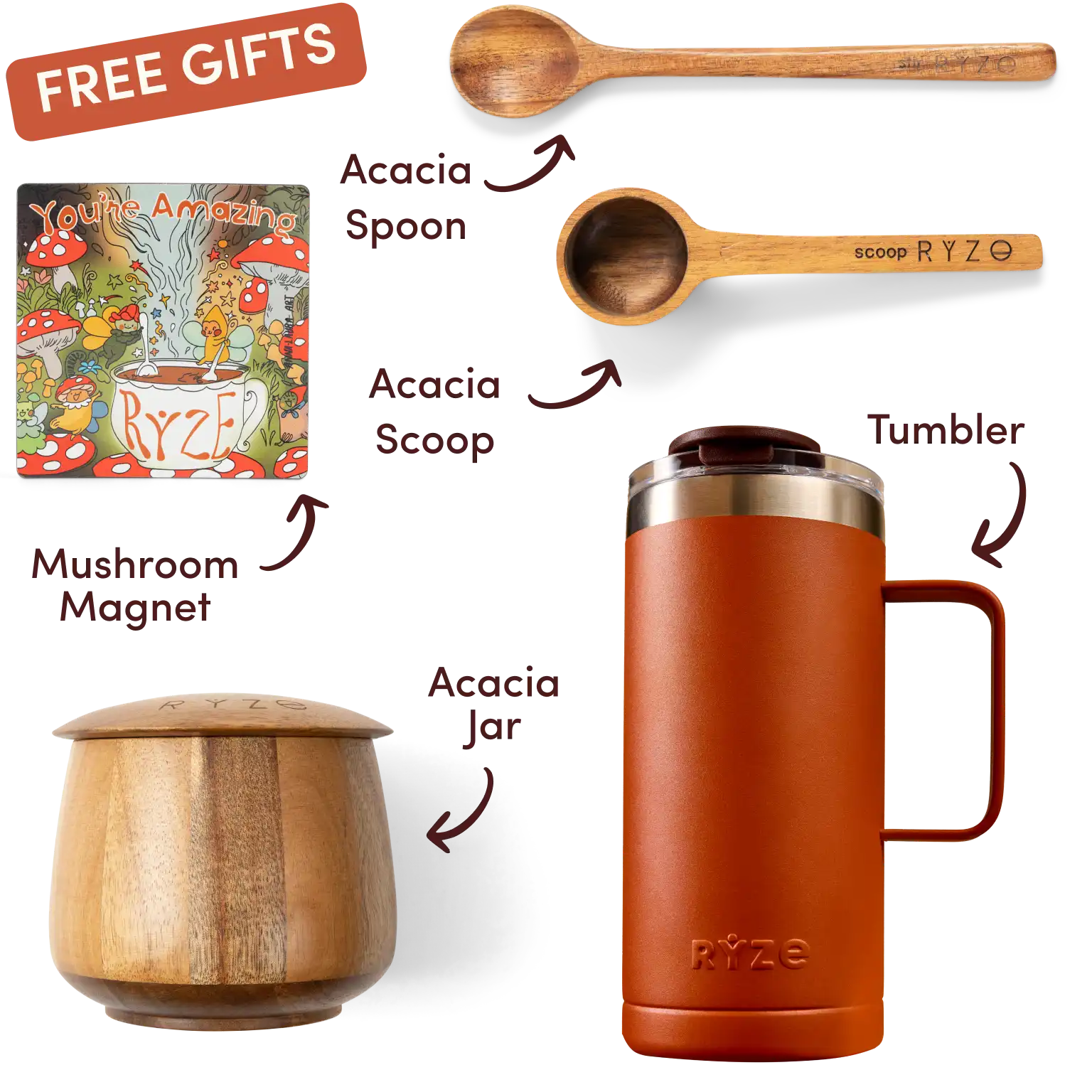 Ryze superfood creamer, acacia spoon, scoop, jar, mushroom magnet, and recipe booklet with 'Free Gifts' label.