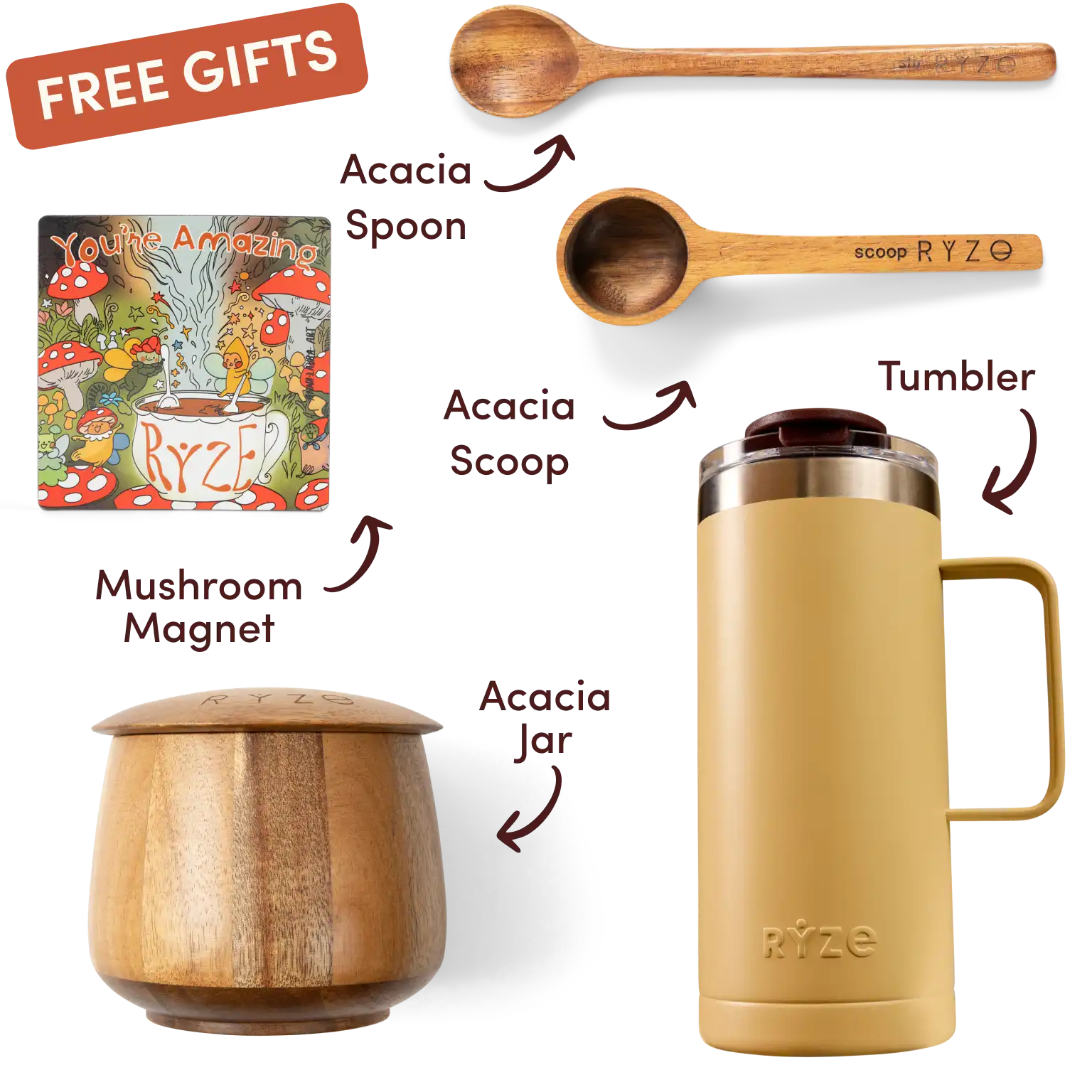 Ryze superfood creamer, acacia spoon, scoop, jar, mushroom magnet, and recipe booklet with 'Free Gifts' label.