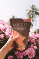 RYZE mushroom coffee bag being held against the sky