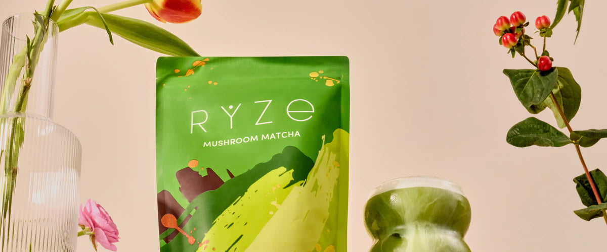 Best Mushroom Coffee Alternative
