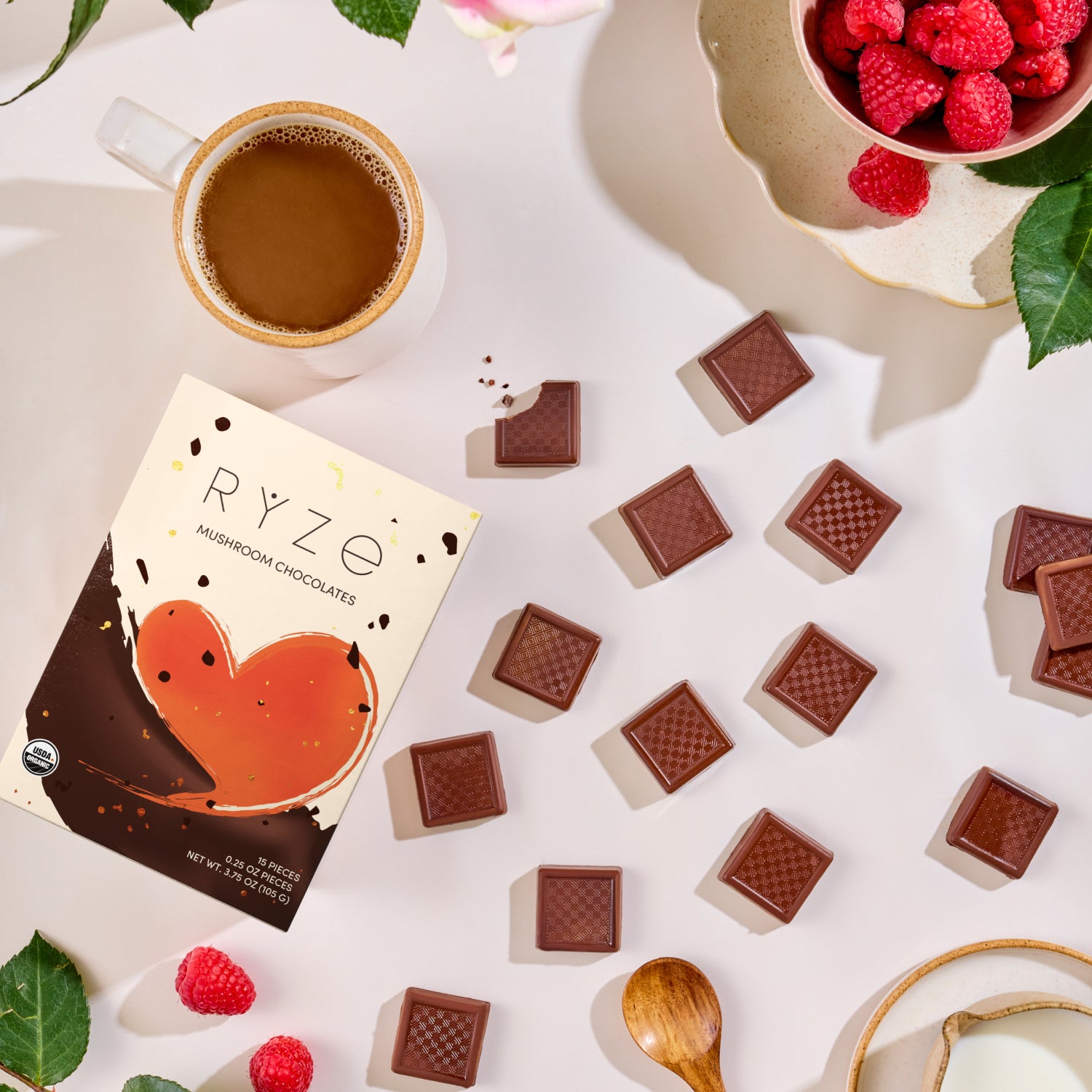 Mushroom Chocolates (15 pieces)