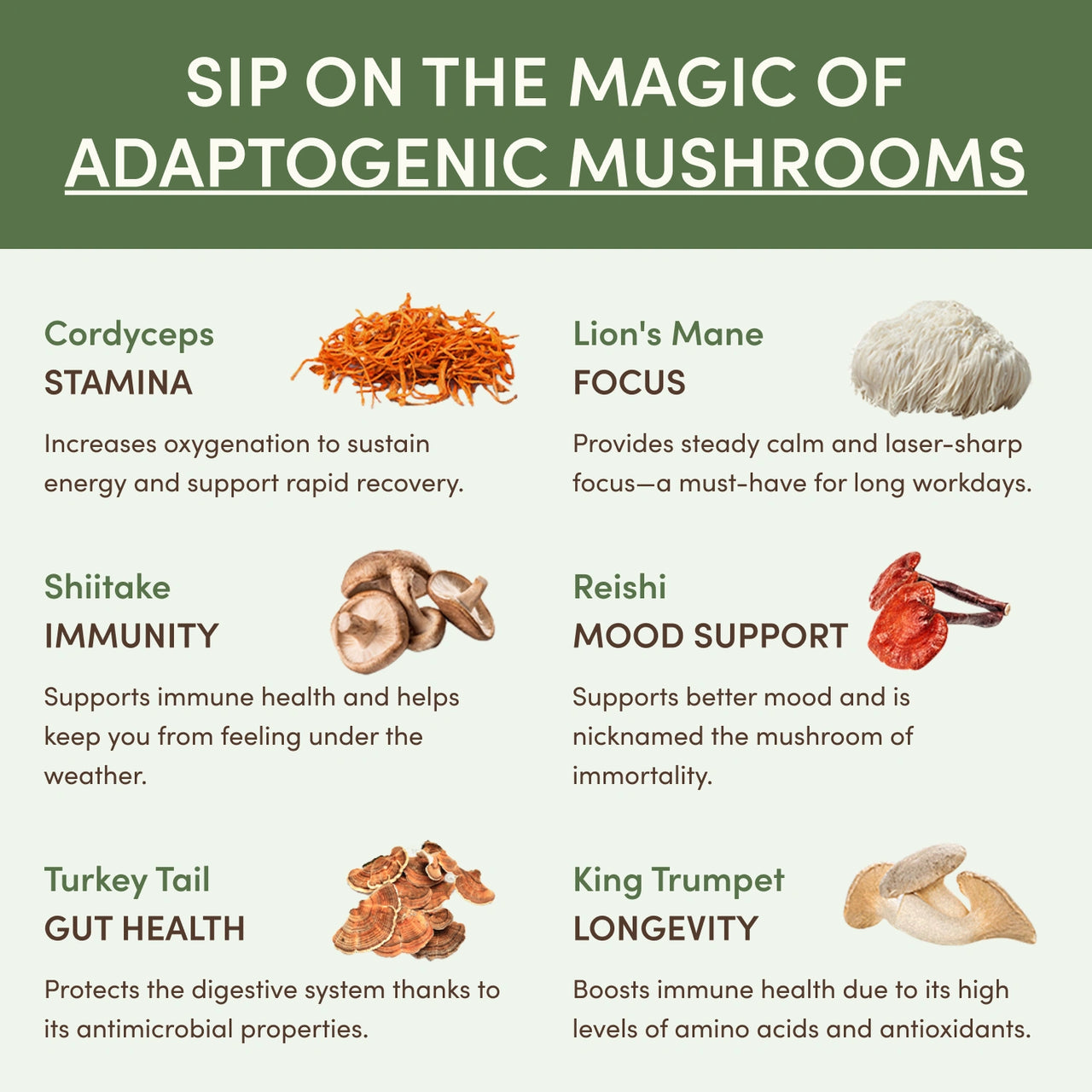 RYZE Mushroom Matcha (30 Servings)