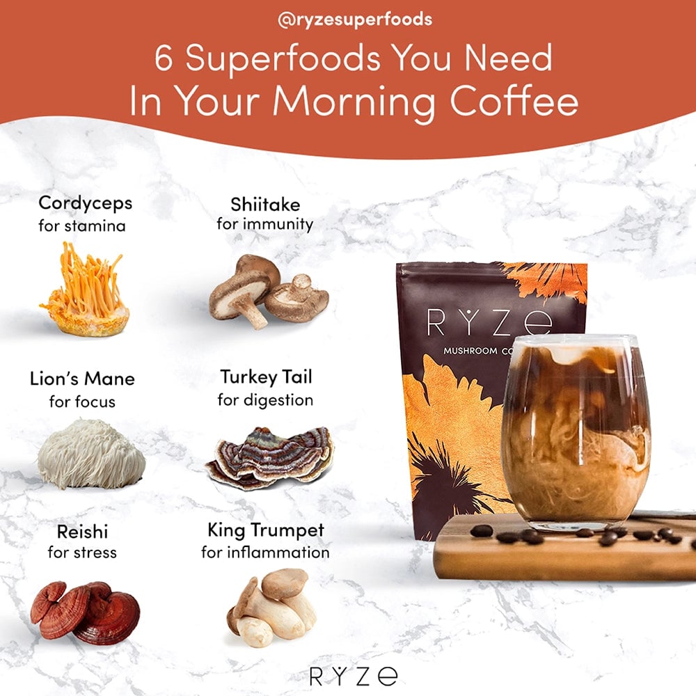 Mushroom Coffee (30 Servings)