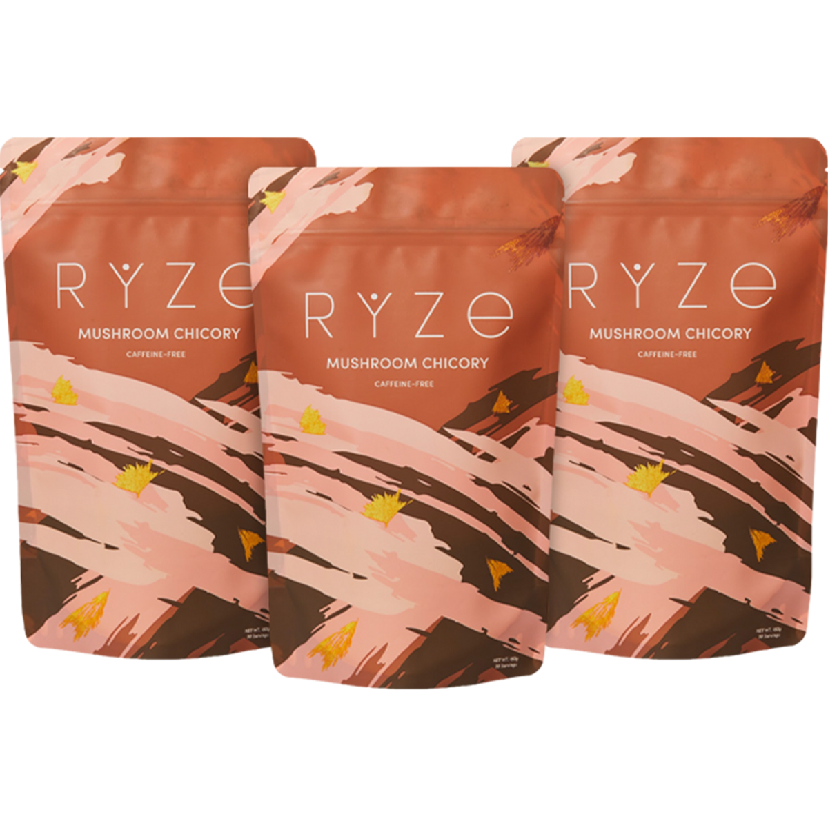 ✨苔✨ Mushroom Chicory (90 Servings) – RYZE