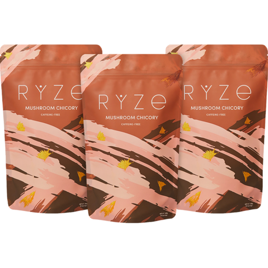 Chicorée des champignons (90 portions)