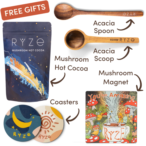 <tc>Mushroom Chicory Kit de Inicio (60 porciones)</tc>