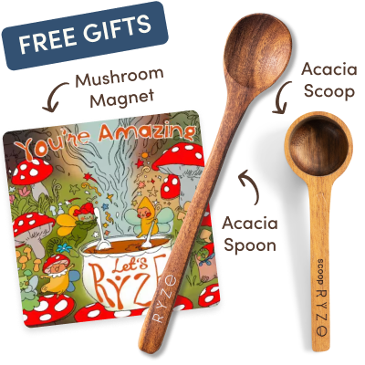 Mushroom Hot Cocoa (20 servings)