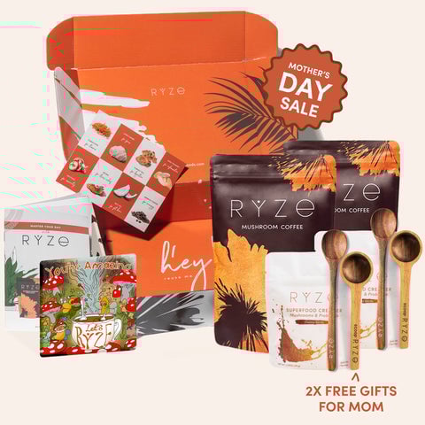 Mushroom Coffee Starter Kit (60 servings)
