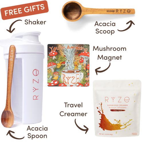 Mushroom Coffee Starter Kit (60 servings)