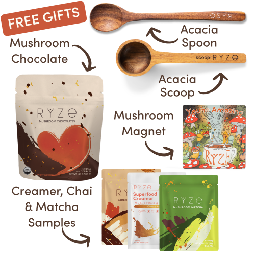 Mushroom Coffee Starter Kit (60 servings)