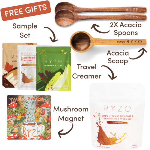 Mushroom Coffee Starter Kit (60 servings)