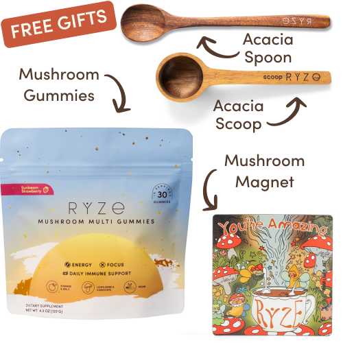 Mushroom Coffee Starter Kit (60 servings)