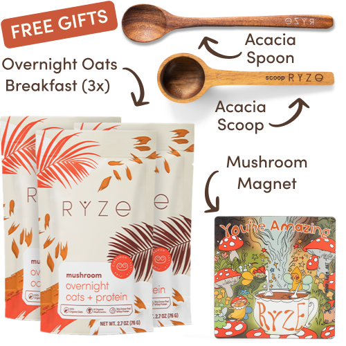 Mushroom Coffee Starter Kit (60 servings)