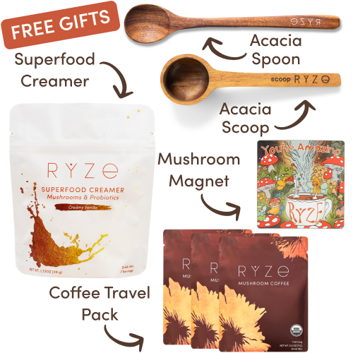 Mushroom Coffee Starter Kit (60 servings)