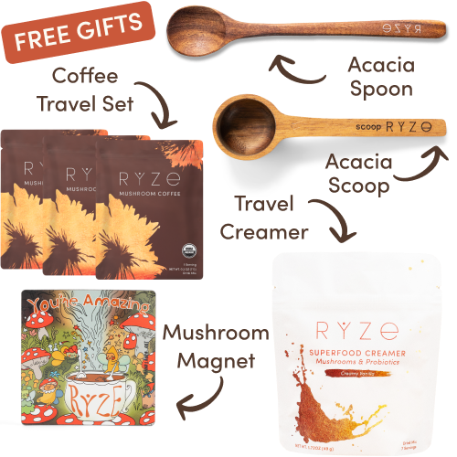 Mushroom Coffee Starter Kit (60 servings)