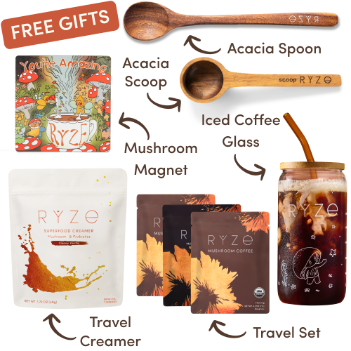 Mushroom Coffee Starter Kit (60 servings)