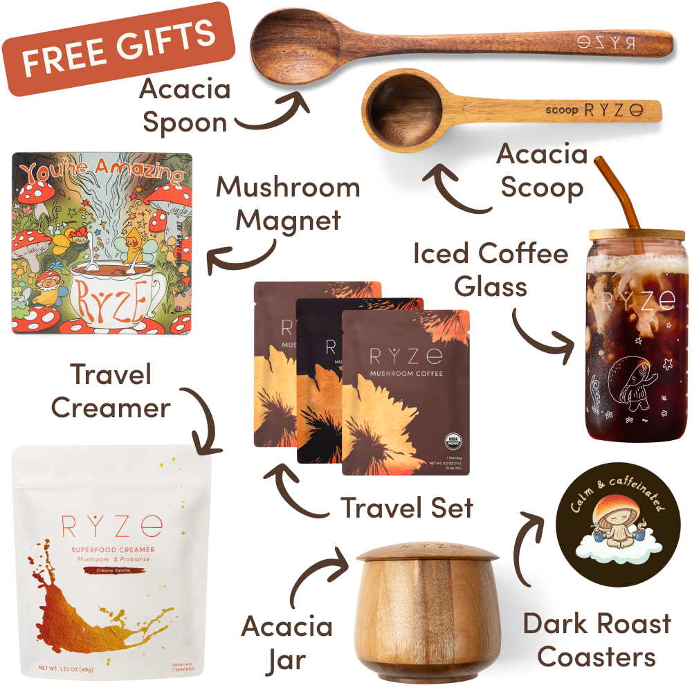 Ryze superfood creamer, acacia spoon, scoop, jar, mushroom magnet, and recipe booklet with 'Free Gifts' label.