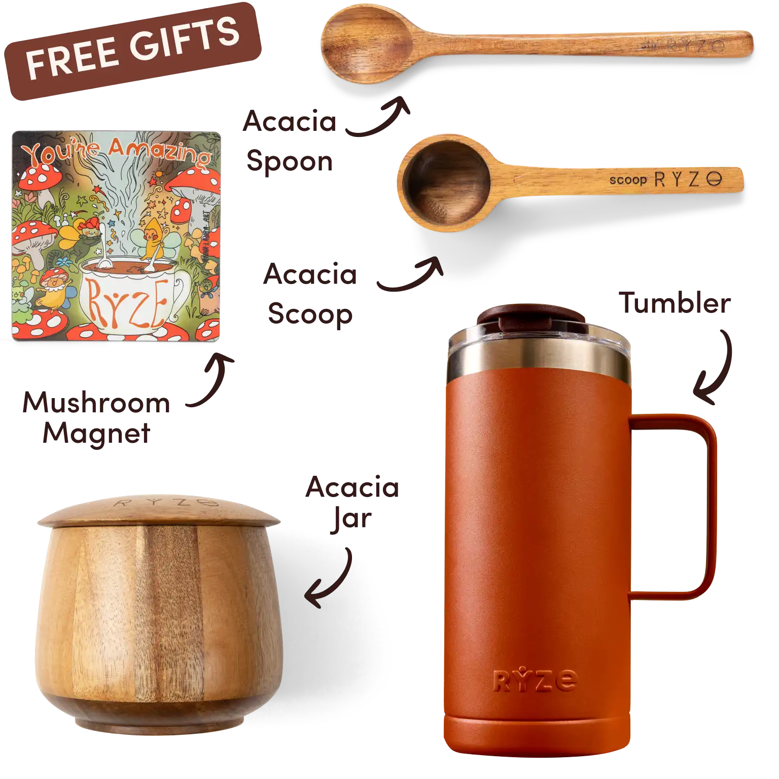 Ryze superfood creamer, acacia spoon, scoop, jar, mushroom magnet, and recipe booklet with 'Free Gifts' label.