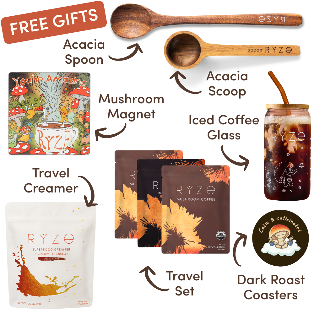 Ryze superfood creamer, acacia spoon, scoop, jar, mushroom magnet, and recipe booklet with 'Free Gifts' label.