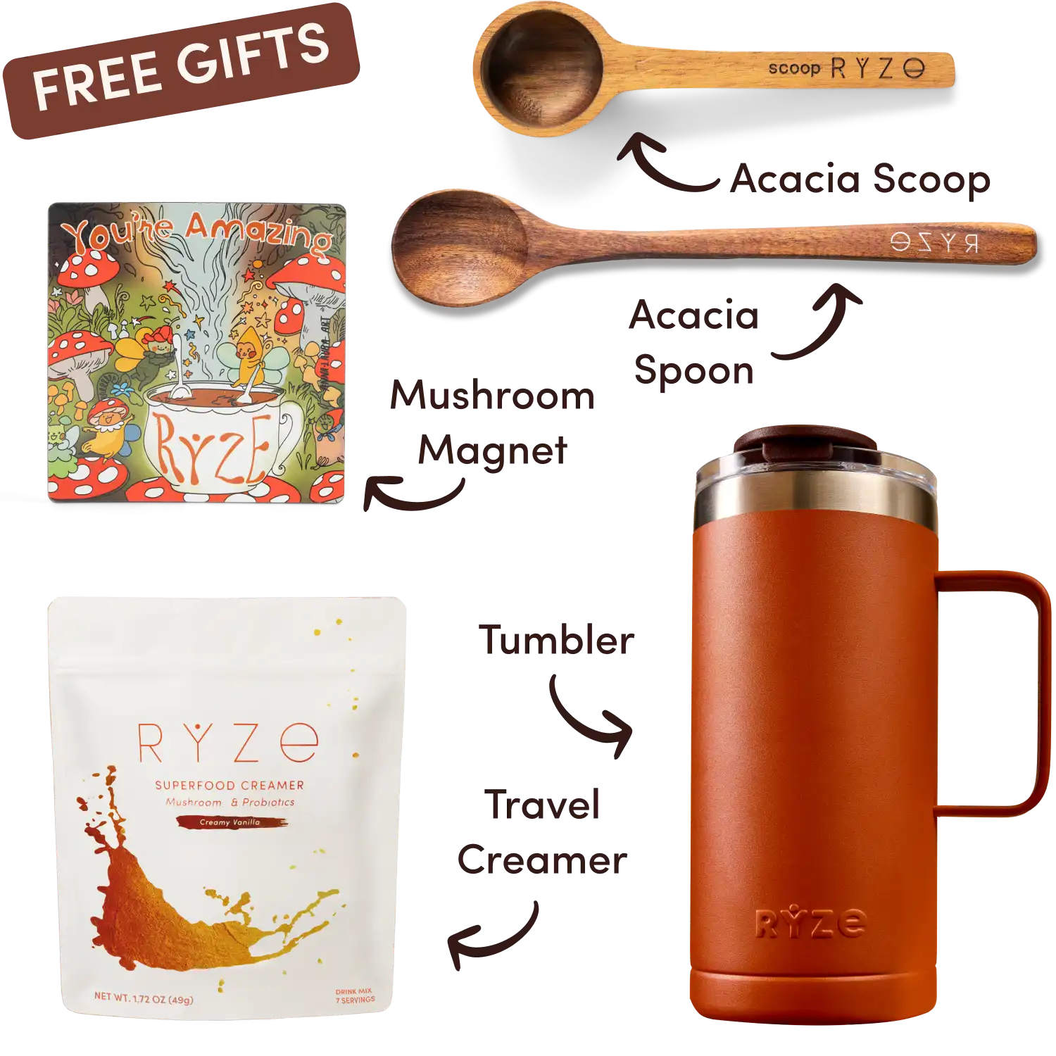 Ryze superfood creamer, acacia spoon, scoop, jar, mushroom magnet, and recipe booklet with 'Free Gifts' label.