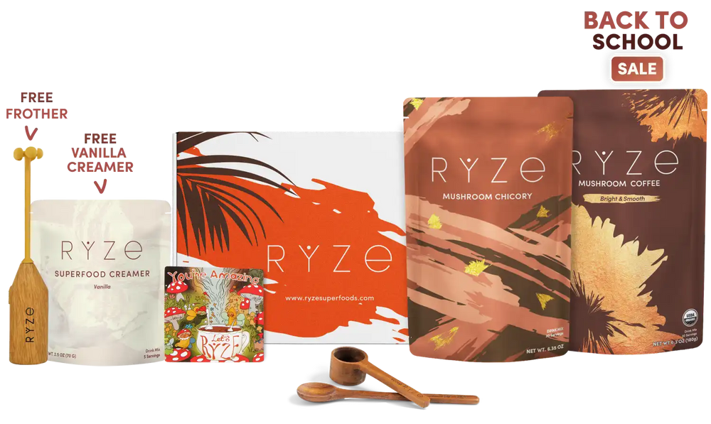 Lasting Energy Bundle (Chicory + Coffee)