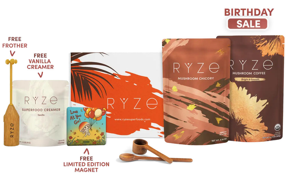 Lasting Energy Bundle (Chicory + Coffee)