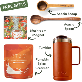 English.early.halloween.sale.free-gifts.Matcha_Starter_Kit_compressed.webp