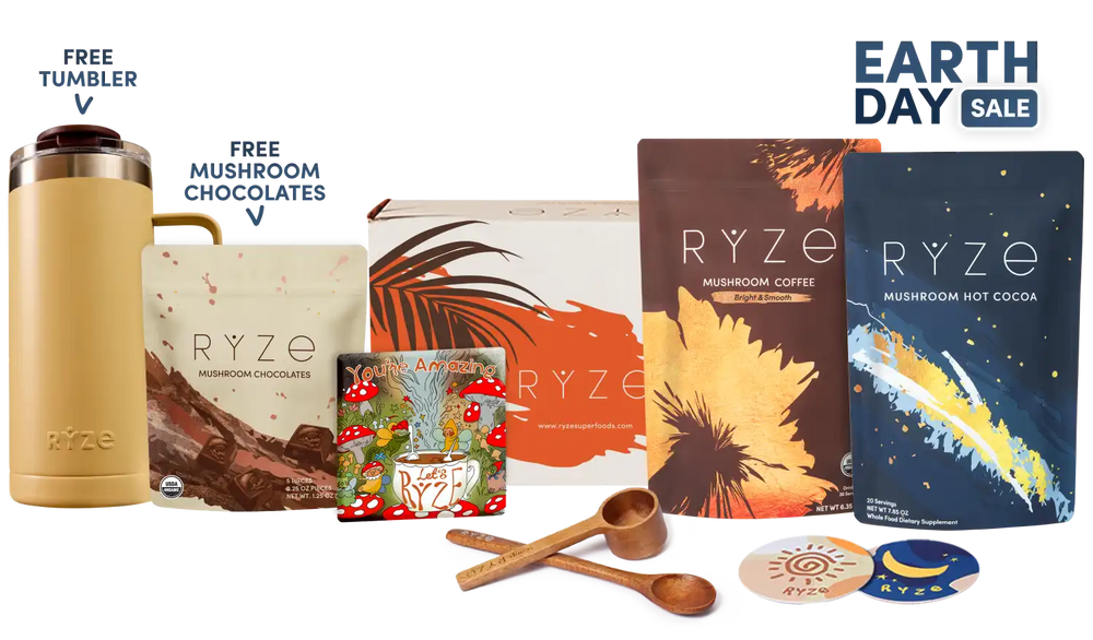 Day + Night Bundle (Coffee + Cocoa)