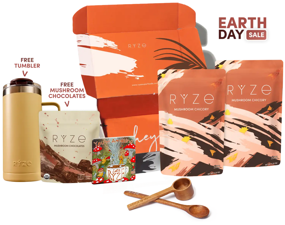 Mushroom Chicory Starter Kit (60 servings)