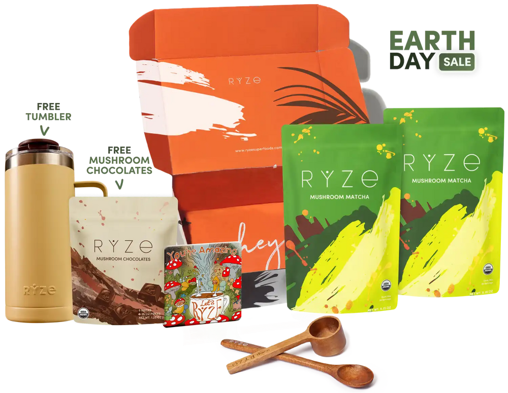 Mushroom Matcha Starter Kit (60 Servings)