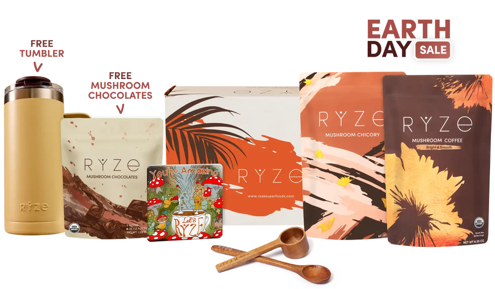 Lasting Energy Bundle (Chicory + Coffee)