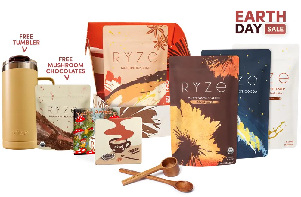 Ultimate Elevate + Unwind Bundle (Chai + Coffee + Cocoa)