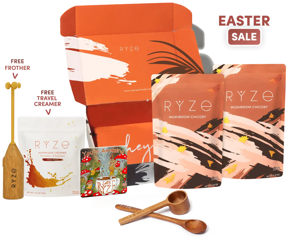 Mushroom Chicory Starter Kit (60 servings)